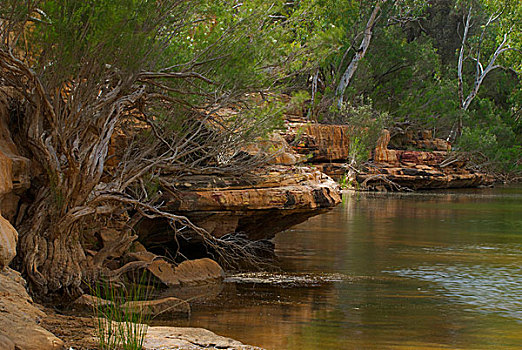 河,流动,红岩,卡巴里国家公园,西澳大利亚州