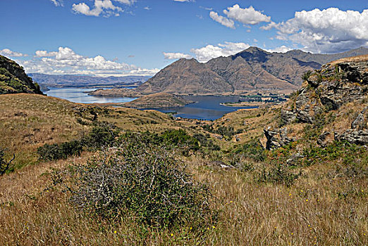 风景,岩石,山,湖,瓦纳卡,南岛,新西兰
