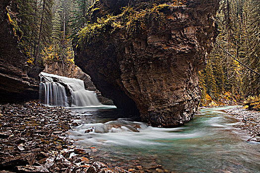 瀑布,树林,溪流,弓形谷,大路,班芙国家公园,艾伯塔省,加拿大