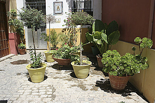西班牙,安达卢西亚,住宅,特写,盆栽,房子,建筑,平台,植物,观叶植物,装饰,户外