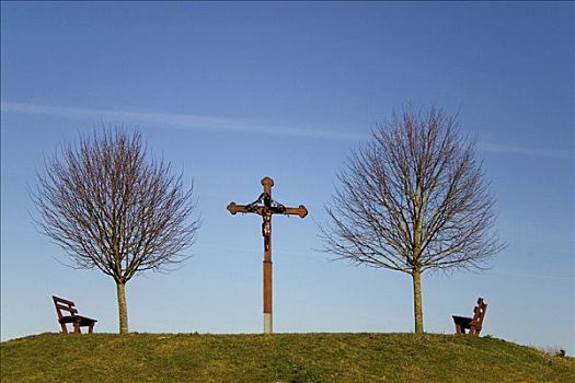 耶稣十字架,树,长椅,巴登符腾堡,德国