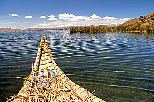 南美,玻利维亚,提提卡卡湖,芦苇,船,浮岛,漂浮,岛屿