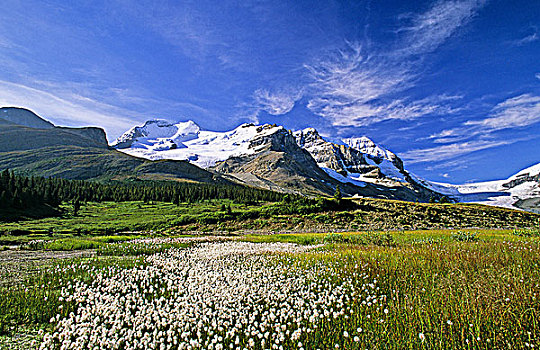 山,阿萨巴斯卡,哥伦比亚冰原,碧玉国家公园,艾伯塔省,加拿大