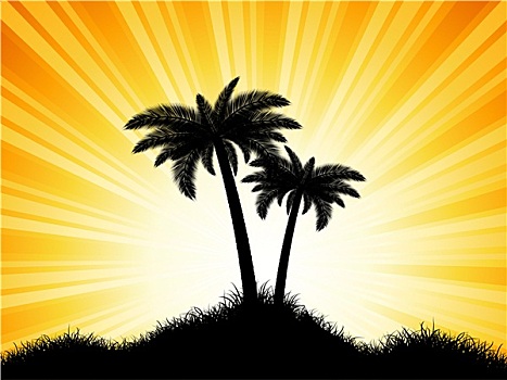 棕榈树,剪影,晴朗,背景