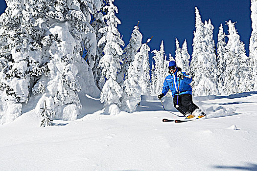 女性,滑雪者,滑雪,银,星,山,胜地,弗农,不列颠哥伦比亚省,加拿大