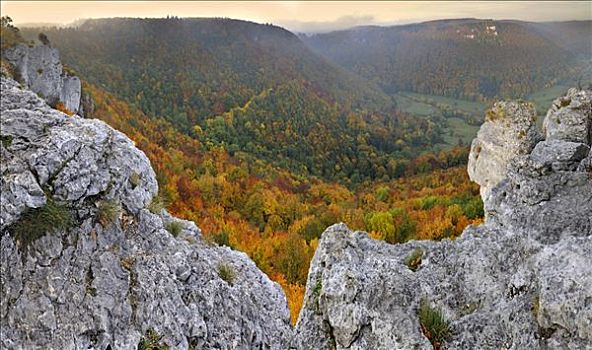 岩石,风景,山谷,秋天,巴登符腾堡,德国,欧洲