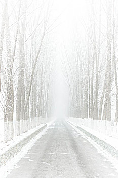 雪之路