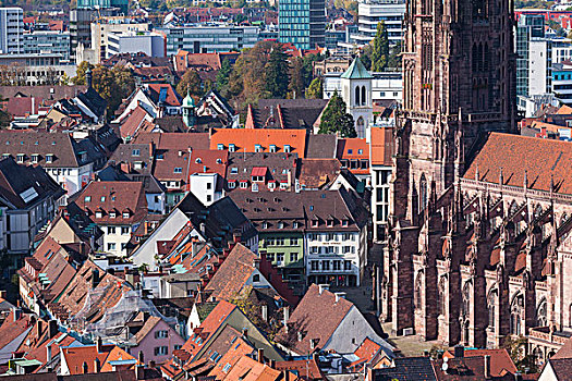 德国,巴登符腾堡,黑森林,城市风光,11世纪,芒斯特,大教堂,城堡山,山,早晨