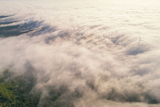 云海和云瀑