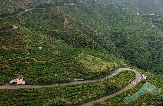 盘山公路