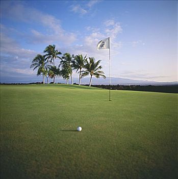 夏威夷,夏威夷大岛,瓦克拉,胜地,高尔夫球场,海滩,场地,高尔夫球,旗帜