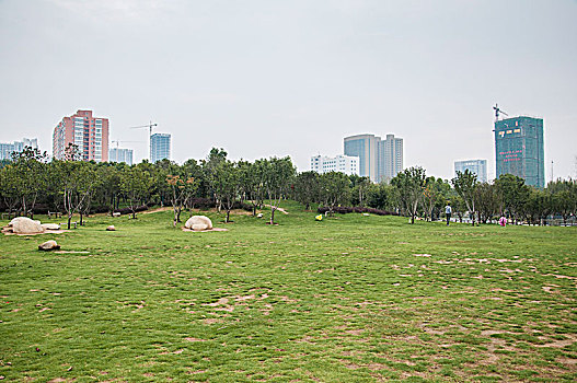 城市公园的草地