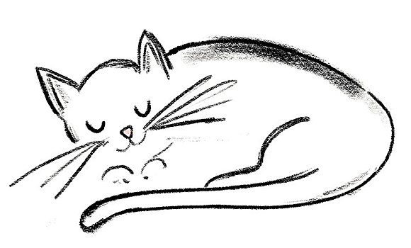 插画,猫,躺下