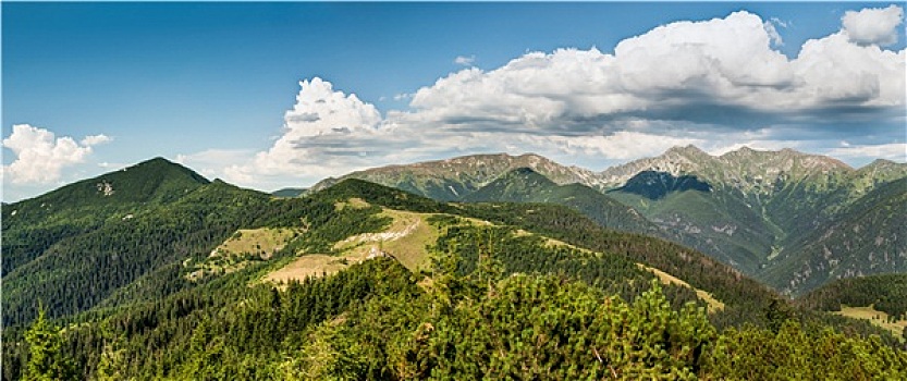 风景