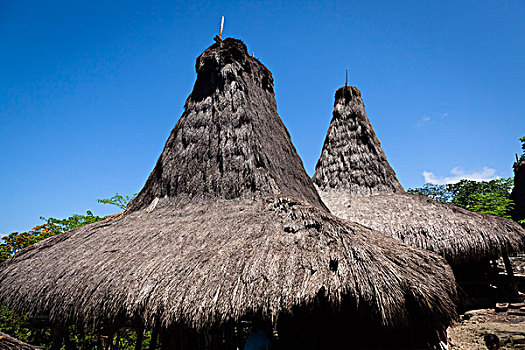 茅草屋顶,印度尼西亚