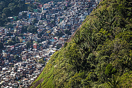 航拍,树,拥挤,棚户区,里约热内卢,巴西