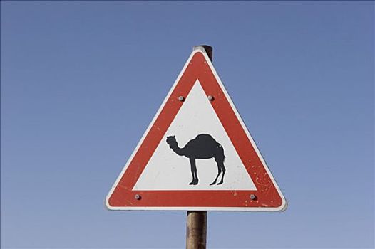 小心,骆驼,标识