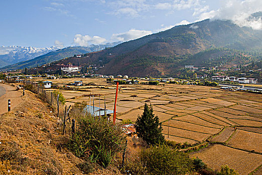 稻田,不丹