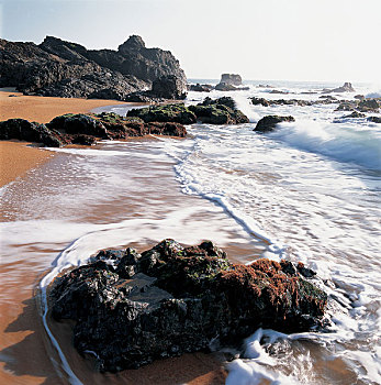 海洋,海滩,海南