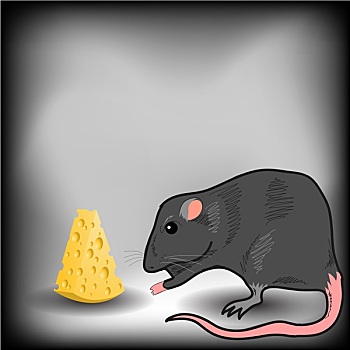 老鼠,奶酪