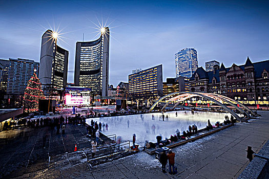 晚间,滑冰,室外,广场,滑冰场,市政厅,多伦多,安大略省,加拿大,圣诞树,光亮