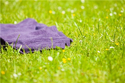 野餐,紫色,毯子,草地,草