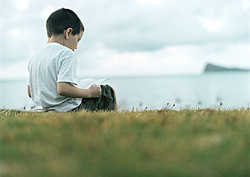 男孩,读,草地,海洋,背景,后视图