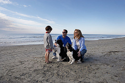 家庭,海滩,狗