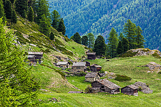 山,小屋,乡村,靠近,策马特峰,瑞士