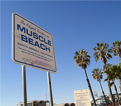 肌肉海滩,加利福尼亚,洛杉矶