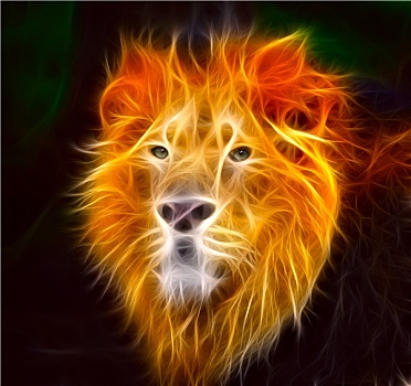 狮子,火焰