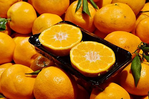 水果,切开的果冻橙