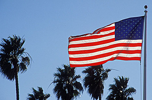 旗帜,团结,手掌,加利福尼亚,北美,美国