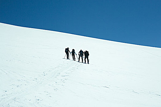 滑雪,站立,并排,斜坡,后视图