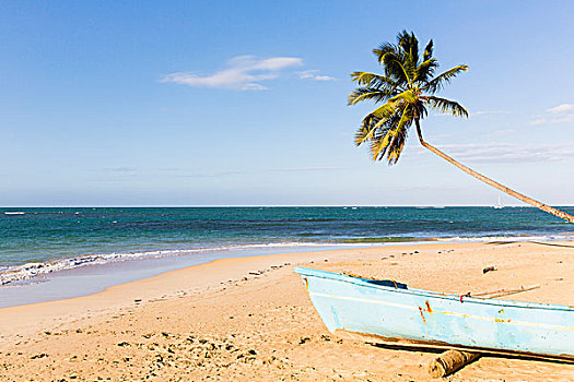 蓝色,渔船,椰树,海滩,干盐湖,多米尼加共和国,加勒比