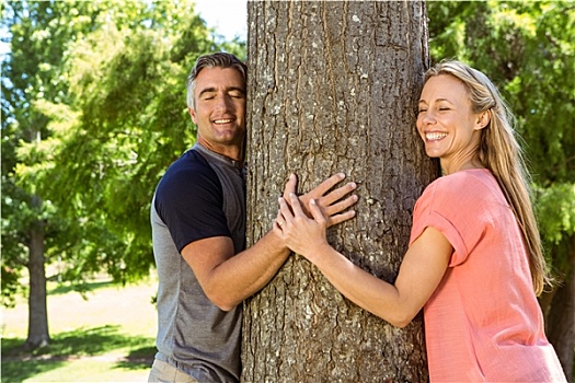 幸福伴侣,搂抱,树