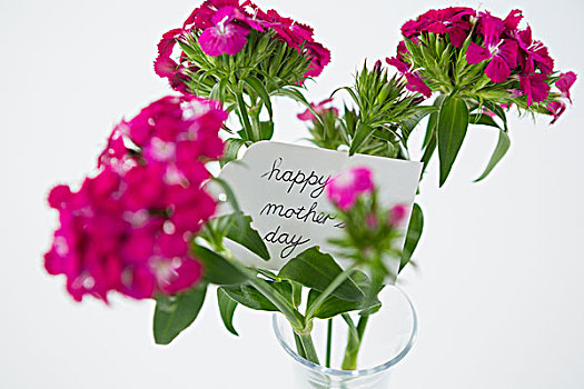 束,粉色,玫瑰,高兴,母亲节,标签,花,花瓶,白色背景,背景