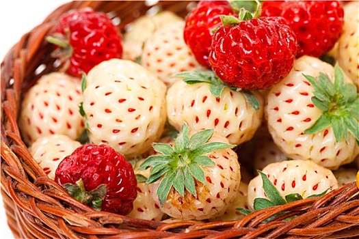 成熟,白色,红色,草莓,篮子