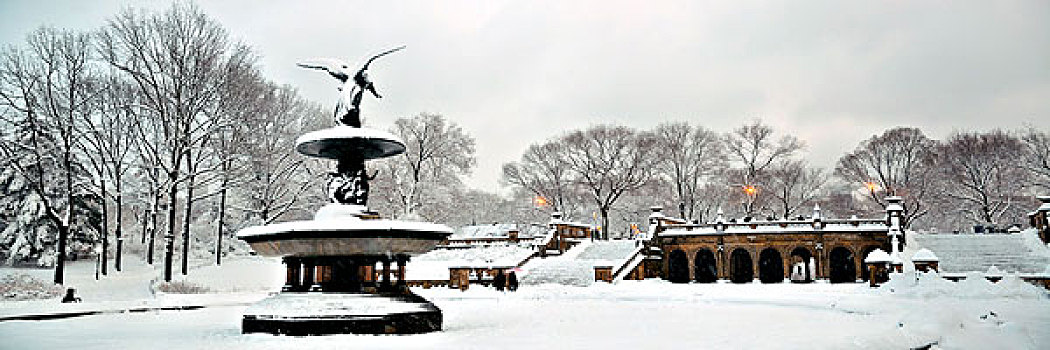 中央公园,冬天,全景,风景,曼哈顿中城,纽约
