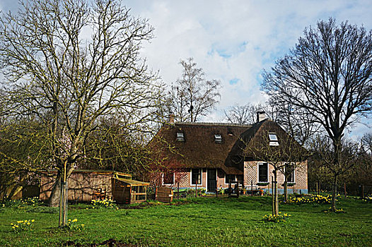 荷兰羊角村原始木屋