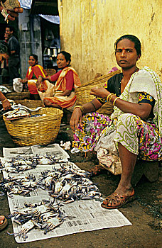 女人,销售,蟹肉,果阿,印度