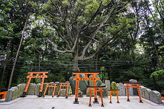 伏见,稻成,神社