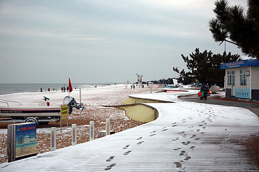 龙年第一场雪悄然而至,游客兴奋异常海边赏雪