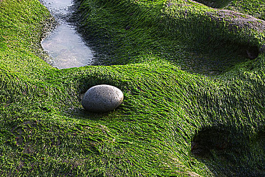 自然,风景