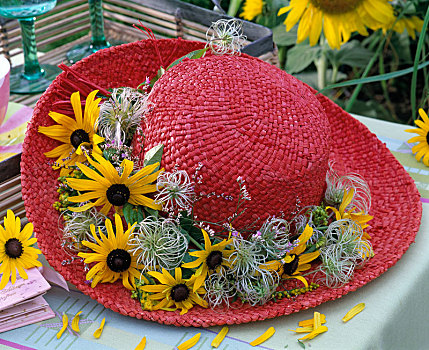 红色,草帽,黄雏菊属植物,铁线莲,花环