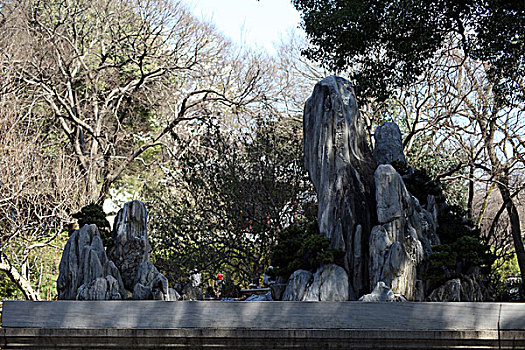 苏州,虎丘,虎丘塔,景点,旅游,宗教,胜地,圣地,建筑,古迹,文物,历史,故事,传说,盆景