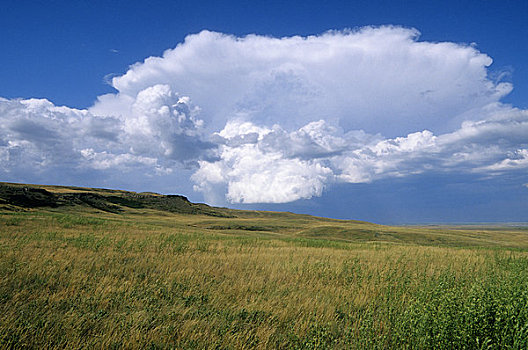 加拿大,艾伯塔省,靠近,堡垒,联合国教科文组织,草原,积雨云,云