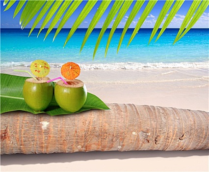 椰树,鸡尾酒,青绿色,加勒比,海滩