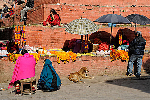 尼泊尔,加德满都,女人,销售,橙花,杜巴广场