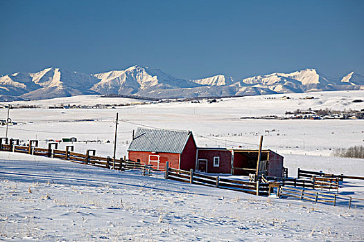 红色,谷仓,积雪,山峦,背景,蓝天,艾伯塔省,加拿大